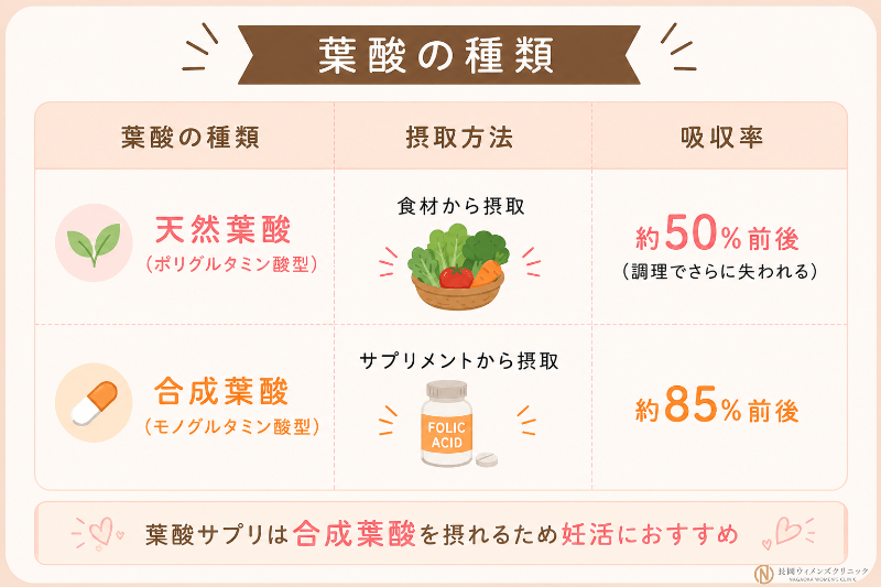 葉酸の種類