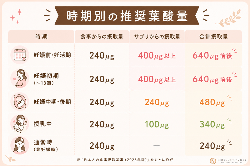 時期別の推奨葉酸量