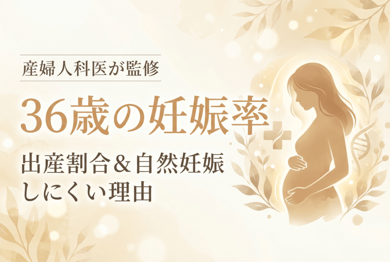 36歳の妊娠率