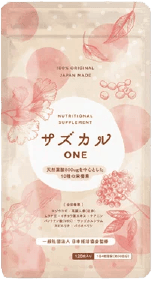 サズカルONE